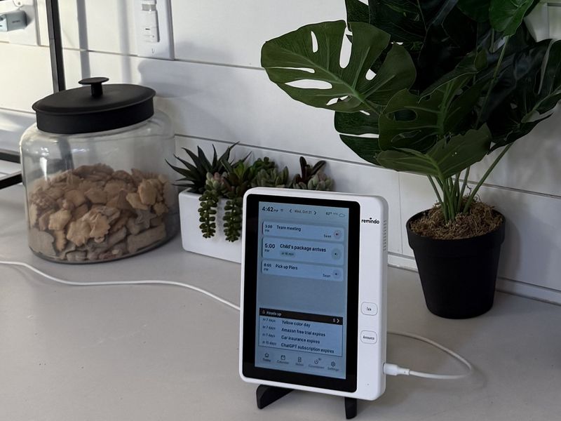 Finished Remindo sample on a kitchen counter